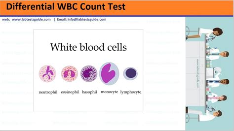 Differential White Blood Cells Count | Lab Tests Guide