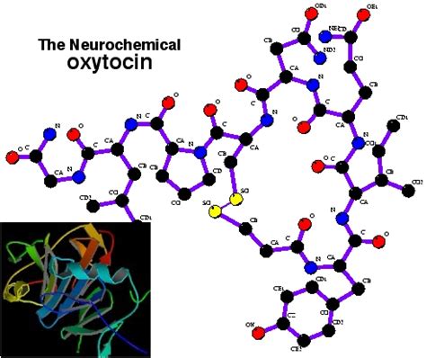 Neurochemistry - wikidoc