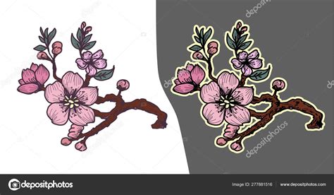 Sakura Flower Tattoo Hand Drawn Isolate Cherry Blossom Flower Japan ...