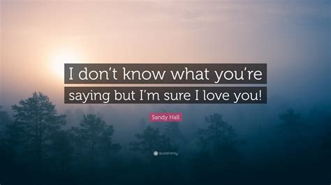 Sandy Hall Quote: “I don’t know what you’re saying but I’m sure I love ...