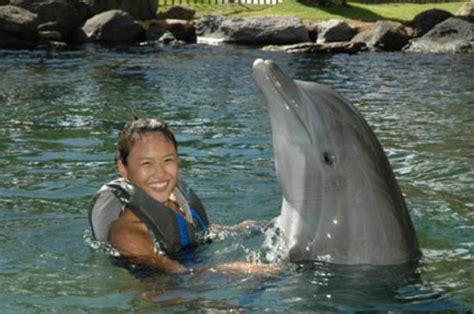 Dolphin Quest (Oahu, HI): Top Tips Before You Go (with Photos ...