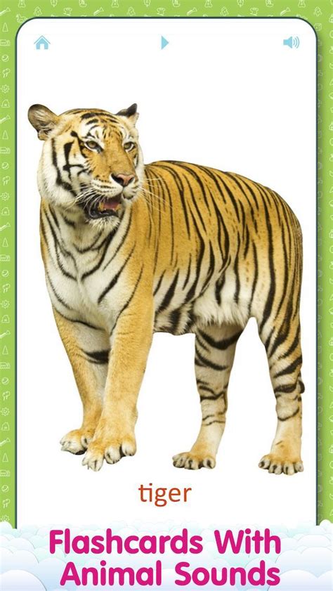 Animal sounds and flashcards for Kids for Android - APK Download