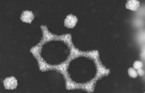 Assembling Gold Nanoparticles with Polymer Colloids – Keddie Lab