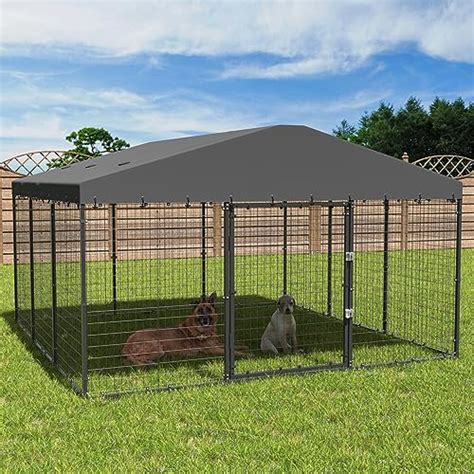 I Tested the Durability and Functionality of a Large Outdoor Kennel ...