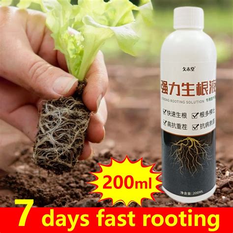 Rooting hormone for cuttings 200g Ultra Rooting powder rapid growth ...