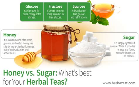 Honey vs. Sugar: What's Best for Your Herbal Teas? | HerbaZest