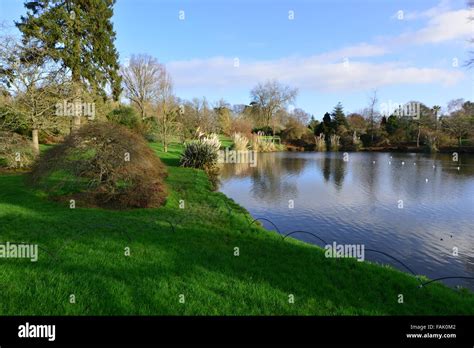 English country garden in winter Stock Photo - Alamy