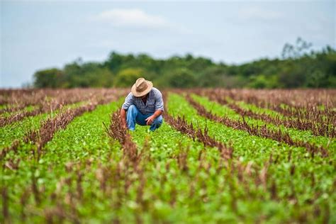 Agricultural Land Use