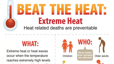 'Heat-related deaths and illnesses are preventable': How to keep yourself and others safe | KVAL