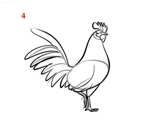 How To Draw A Rooster Head Step By Step Pencil Drawing For Beginners – NBKomputer