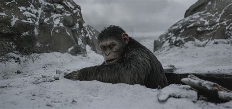 War for the Planet of the Apes: Give Andy Serkis An Oscar For Caesar | IndieWire