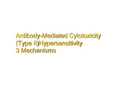 PPT - Antibody-Mediated Cytotoxicity ( Type II)Hypersensitivity 3 ...