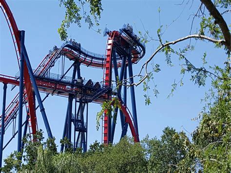 Sheikra still shut down day after dozens evacuated from ride at Busch ...