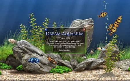 Dream aquarium screensaver full version serial number - virtmulti