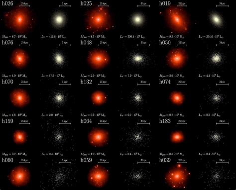 Studying dwarf galaxies to get the big picture