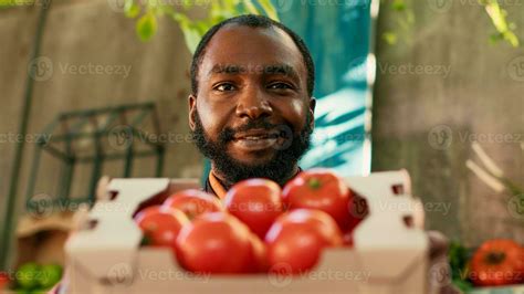 Young man stand holder presenting box of tomatoes to people, showing natural locally grown ...