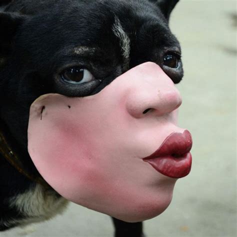 Don’t Buy These Amazon Dog Masks Unless You Want Nightmares For The Rest Of Your Life