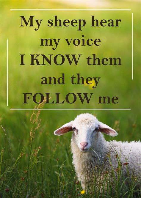 My sheep hear my voice, and I know them, and they follow me. John 10:27 | Wisdom quotes life ...