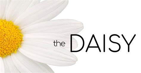 Shop The Daisy