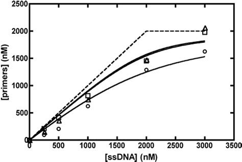 RNA primer synthesis by 2 μM primase as a function of template... | Download Scientific Diagram