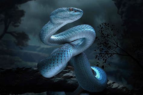 Snake Zodiac Sign - Year of Snake Traits with Horoscope Meaning ...