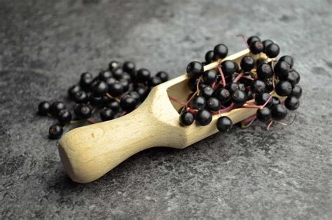 Product Profile: PharmaCare Sambucol Black Elderberry | WholeFoods Magazine