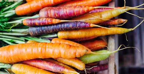 Five Root Vegetables You Need to Know About | WW Canada