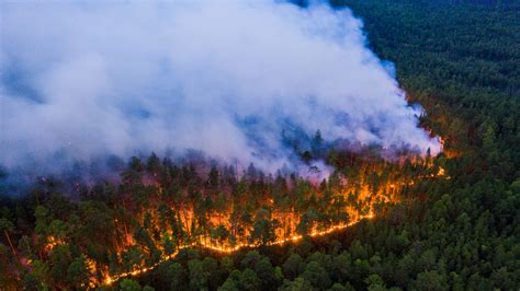 Las imágenes más impactantes de los incendios forestales causados por la ola de calor sin ...