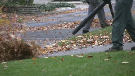 Leaves Blowing Stock Footage Video | Shutterstock