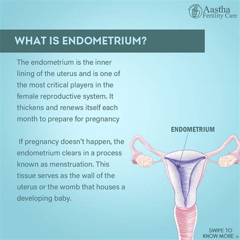 Role of Endometrium in Female Reproductive Health