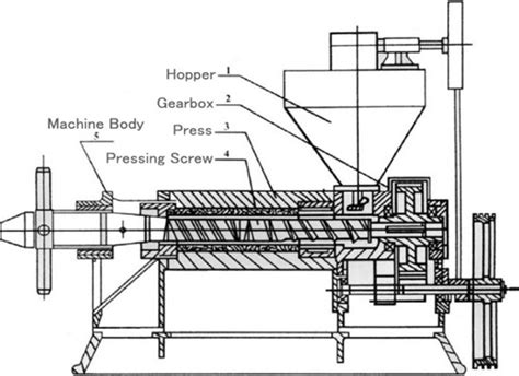 What is the screw oil press machine and what is it used for?__Vegetable oil processing technology