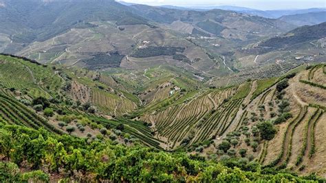 Hiking in Douro Valley | Triptipedia