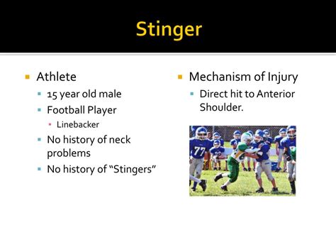 PPT - Brachial Plexus Injury “Stinger” PowerPoint Presentation, free download - ID:5262372