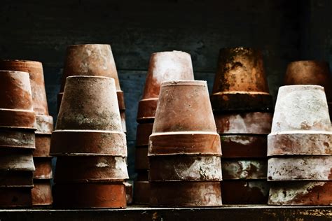 Old Flower Pots Free Stock Photo - Public Domain Pictures
