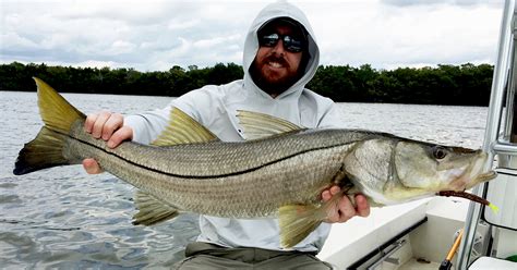 Snook Fishing: Tips On Catching Snook In The Summer