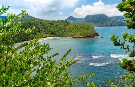 Batibou Beach, Dominica - Discover Dominica Authority | Jamaican beaches, Beaches in the world ...