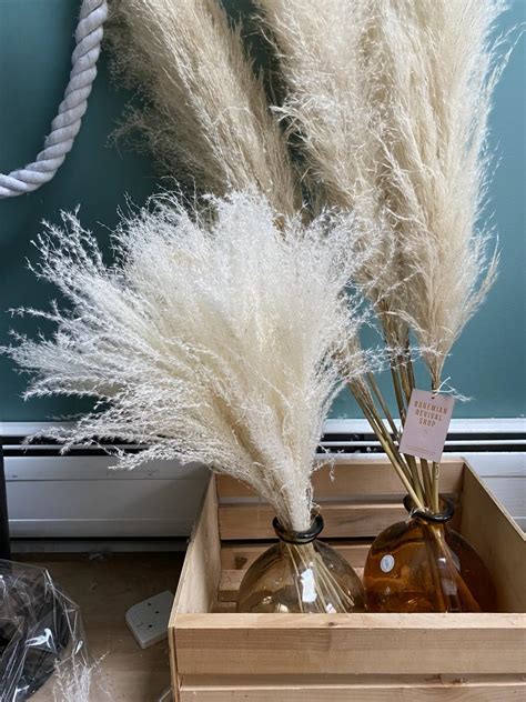 Pampas Grass Bouquet (20 Stems) / Small Ivory Pampas Grass / Pampas Grass Bouquet / White Pampas ...