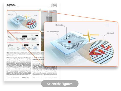 Scientific illustration, scientific figure, graphical abstract, and TOC ...