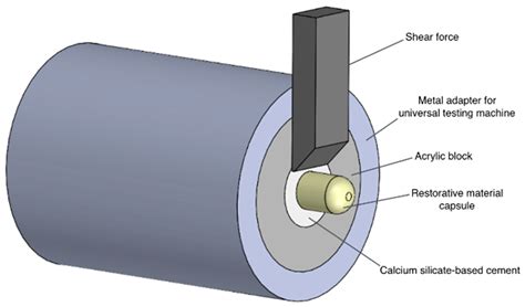 Materials | Free Full-Text | Does Delayed Restoration Improve Shear ...