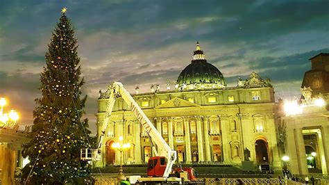 Vatican Christmas Tree 2015 at Saint Peter’s Square preparations - YouTube