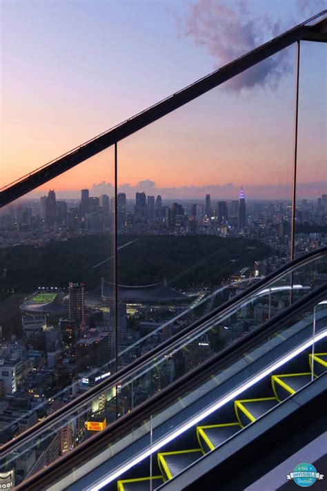 Shibuya Sky: Tickets & Tips for the Perfect Experience