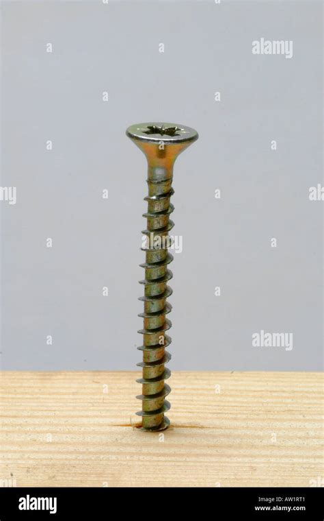 Screw in wood Stock Photo - Alamy