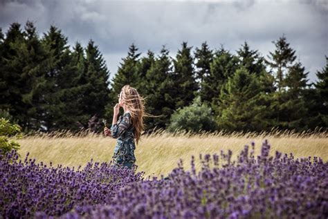 Visiting Cotswold Lavender Fields - The Happy Kamper