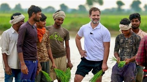 Watch: Rahul Gandhi meets Haryana farmers, invites them for meal in ...