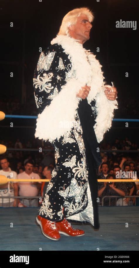 Ric Flair 1993 Photo By John Barrett/PHOTOlink Stock Photo - Alamy