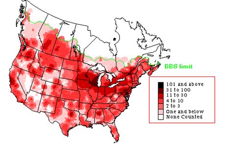 Rock Dove - Breeding Range Map