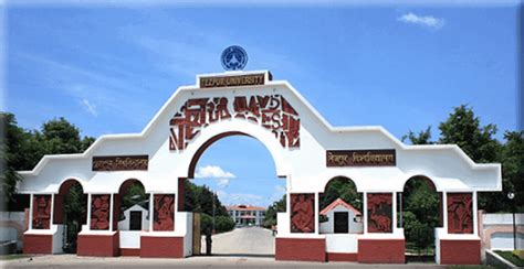 Tezpur University professor wins Visitor’s Award for research | The ...