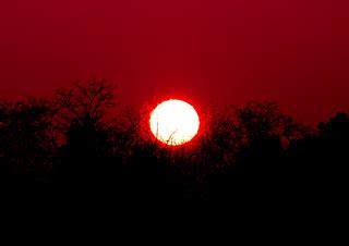 red sun | Thomas Hirsch | Flickr