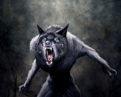 Page 5 | werewolf 1080P, 2K, 4K, 5K HD wallpapers free download | Wallpaper Flare