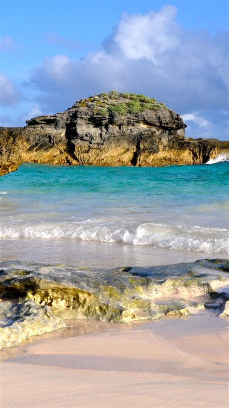 Wallpaper Horseshoe Bay Beach, Bermuda, Best beaches of 2016, Travellers Choice Awards 2016 ...